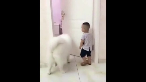 Ten smutny chłopiec bardzo chciał dostać się do gabinetu rodziców. Nie mógł jednak otworzyć drzwi. Na szczęście u jego boku pojawił się większy kumpel - pies.