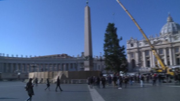 Na placu św. Piotra w Watykanie stanęła choinka z Polski. 25-metrowy świerk pochodzi z Puszczy Rominckiej w nadleśnictwie Gołdap na Mazurach.