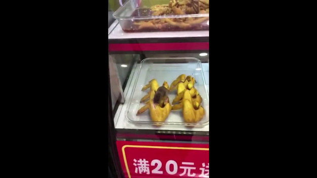 Wyobrażasz sobie, że wchodzisz do restauracji typu"fast food" w Chinach i... widzisz żywego szczura, przeżuwającego skrzydełka kurczaka? Ta odrażająca scena została uwieczniona na nagraniu. Podobno restauracja została już zamknięta przez władze.