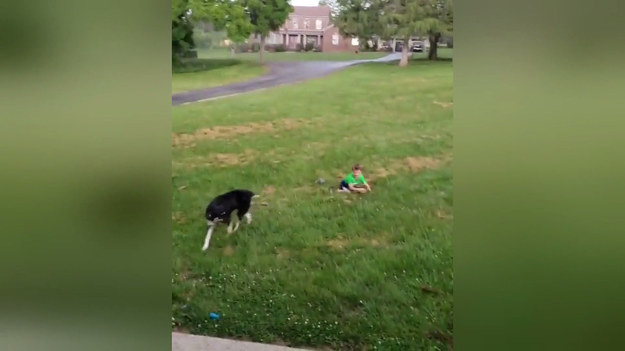 Pięcioletni Toby biegnie w stronę kamery, gdy nagle pojawia się szarżujący pies. A potem wszystko toczy się samoistnie.