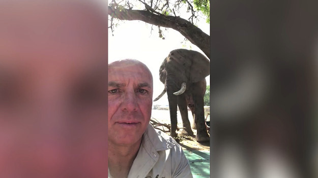Podróżnik dokumentujący życie słoni, nie mógł sobie chyba wymarzyć lepszego spotkania niż to, które go spotkało podczas obiadu w bazie. Niesamowite.