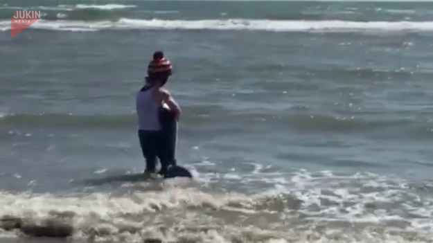 Kobieta spacerując z koleżanką, zobaczyła na brzegu wyrzuconego małego delfina. Bez namysłu rzuciła się na pomoc, aby maluch mógł trafić do swojego domu. 