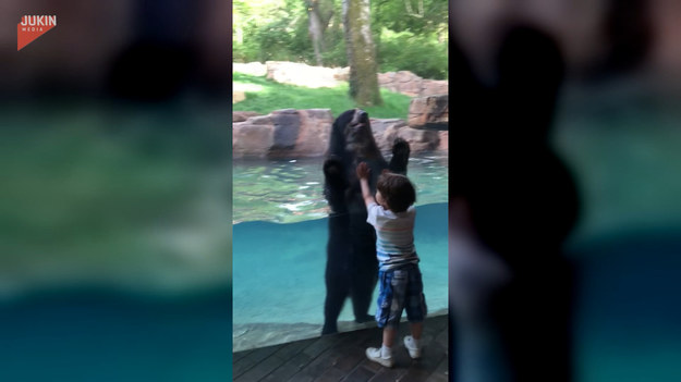 Rodzice wzięli do zoo syna. Dziecko tam znalazło kumpla do wspólnej zabawy. Co robili? 