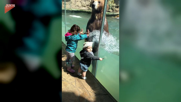 Nikt chyba się nie spodziewał, że niedźwiedź tak się ucieszy na widok odwiedzających go dzieci. Zobaczcie co robił. 