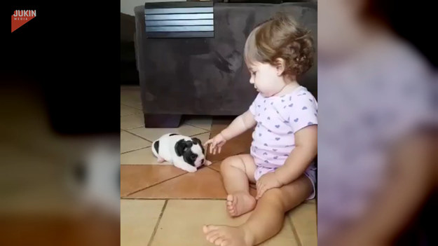 Mała dziewczynka pocałowała swojego nowego przyjaciela - szczeniaka. Urocze, prawda?