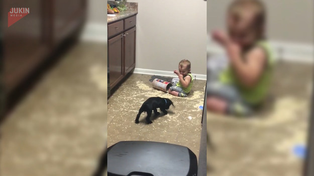 Rodzice wiedzieli, że szczeniak i dziecko harcują po domu. Nie spodziewali się jednak takiego widoku. Co zrobiła ta dwójka?