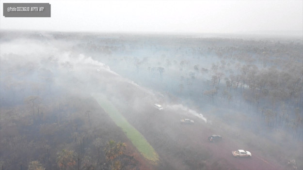Od kilku dni świat żyje pożarami lasów w Amazonii. Ujęcia z drona ukazują skalę zniszczeń w jej brazylijskiej części.
