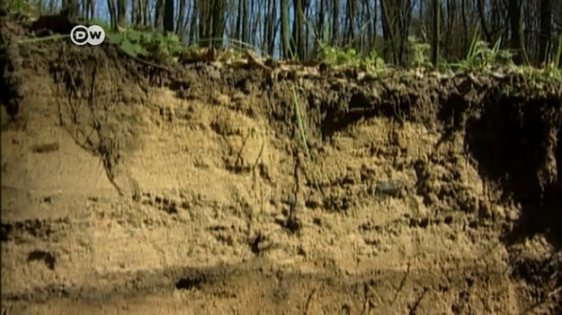 Natura ma różnorodne kolory. Gleba zawiera minerały i inne substancje organiczne.
Skały są zbudowane z minerałów, które pod wpływem pogody ulegają erozji.
Tak powstaje bogata w minerały gleba.
