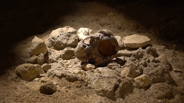 W Circeo we włoskim stołecznym regionie Lacjum odkryto szczątki dziewięciu neandertalczyków - ogłosił w sobotę minister kultury Dario Franceschini. Odkrycia dokonano ponad 80 lat po tym, kiedy odnaleziono tam pierwszą czaszkę tego gatunku.
