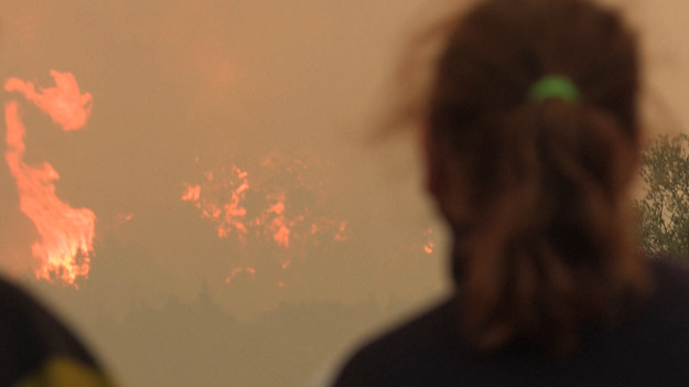 Płoną tereny w pobliżu Kato Alepochori w Grecji. Strażacy walczą o opanowanie wielkiego pożaru lasu, a lepsze warunki pogodowe dają nadzieję, że płomienie zostaną stłumione. Prawie 300 strażaków walczyło przez całą noc, aby powstrzymać pożar w paśmie górskim Geraneia, około 90 kilometrów (55 mil) od Aten.
