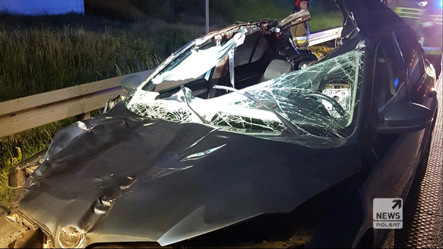 Policjanci z Koluszek (Łódzkie) pod nadzorem prokuratury wyjaśniają okoliczności wypadku drogowego, do którego doszło w nocy ze środy na czwartek na autostradzie A1. W wyniku zderzenia auta z łosiem śmierć na miejscu poniósł 35-letni pasażer skody.