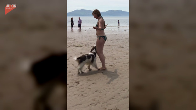 Wyszkolony pies potrafi zaprezentować wiele sztuczek. Udowadnia to bohaterka powyższego filmu, która wraz ze swoim pupilem dała mały pokaz na plaży. Zobaczcie