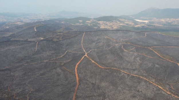 Już drugi tydzień południową Turcję nęka fala pożarów. Dane mówią o 170 osobnych przypadkach niszczącego żywiołu. Zdjęcia lotnicze jasno pokazują, jak rozległy obszar spłonął.