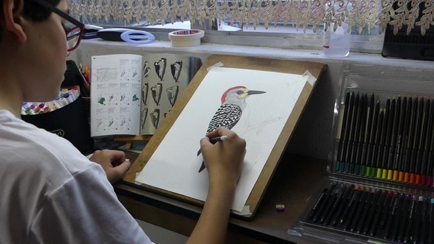 14-letni Jacobo z Kolumbii wraz z mamą, ornitologiem, przygotowują wyjątkowy atlas ptaków. Mama fotografuje okazy występujące w regionie, a Jacobo rysuje je z najdrobniejszymi szczegółami.