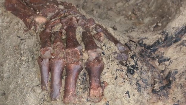 W 79 roku n.e. erupcja Wezuwiusza zabiła tysiące osób. W Herkulanum w pobliżu Pompejów odkryto kolejny szkielet ofiary. Szczątki mężczyzny znaleziono w pozycji na plecach, z głową zwróconą w stronę wulkanu. Zapewne widział nadchodzącą śmierć. Szkielet osadzony w wysokiej ścianie z kamienia lawy zachował się w idealnym stanie do badań. Herkulanum zostało zakopane głębiej w materiale wulkanicznym niż Pompeje. Wiele artefaktów nie zostało jeszcze odkrytych.