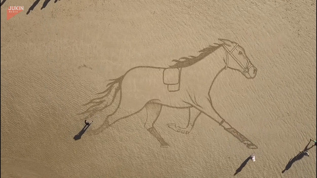 Sztuka wielkogabarytowa — tak można określić dzieło, które powstało na jednej z francuskich plaż. W Houlgate, w Normandii, plażowicze mogli podziwiać wspaniałego konia wyrysowanego na piasku. Robi wrażenie!