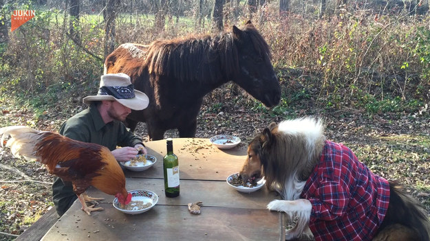 Kogut, koń, pies i człowiek - niczym najlepsi przyjaciele biesiadują przy wspólnym stole. Kojarzy wam się z czymś ten widok? 