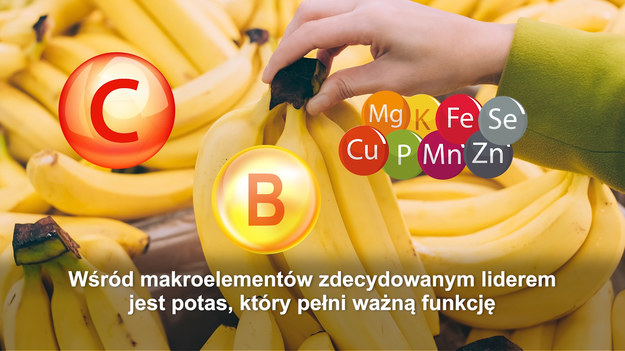 Banany to owoce tropikalne, a z botanicznego punktu widzenia są jagodami, zebranymi w charakterystyczne owocostany tworzące kiście. Do Polski trafiły z zachodu (to już wiemy), a uprawiane są na terenach międzyzwrotnikowych obu Ameryk, Afryki, Azji i w krajach Pacyfiku. Nazwa banan pochodzi od arabskiego słowa banan, które znaczy palec, a na kiście poukładanych w skrzyniach bananów mówi się wiązki lub rączki. Podobieństwa można się dopatrzeć.Banany są owocami wysoce skrobiowymi i kalorycznymi. W 100 gramach znajdziemy 89 kilokalorii. Blisko 75 gramów stanowi woda, 23 gramy to wspomniane węglowodany, zaledwie 1 g to białka i znikoma (0,33 g) tłuszczy. Wysoka wartość odżywcza ma swoje plusy i minusy. Z jednej strony jest to produkt świetnie zaspakajający głód, z drugiej przeszkadzający w odchudzaniu. Ale i na to można znaleźć sposób – umiar!