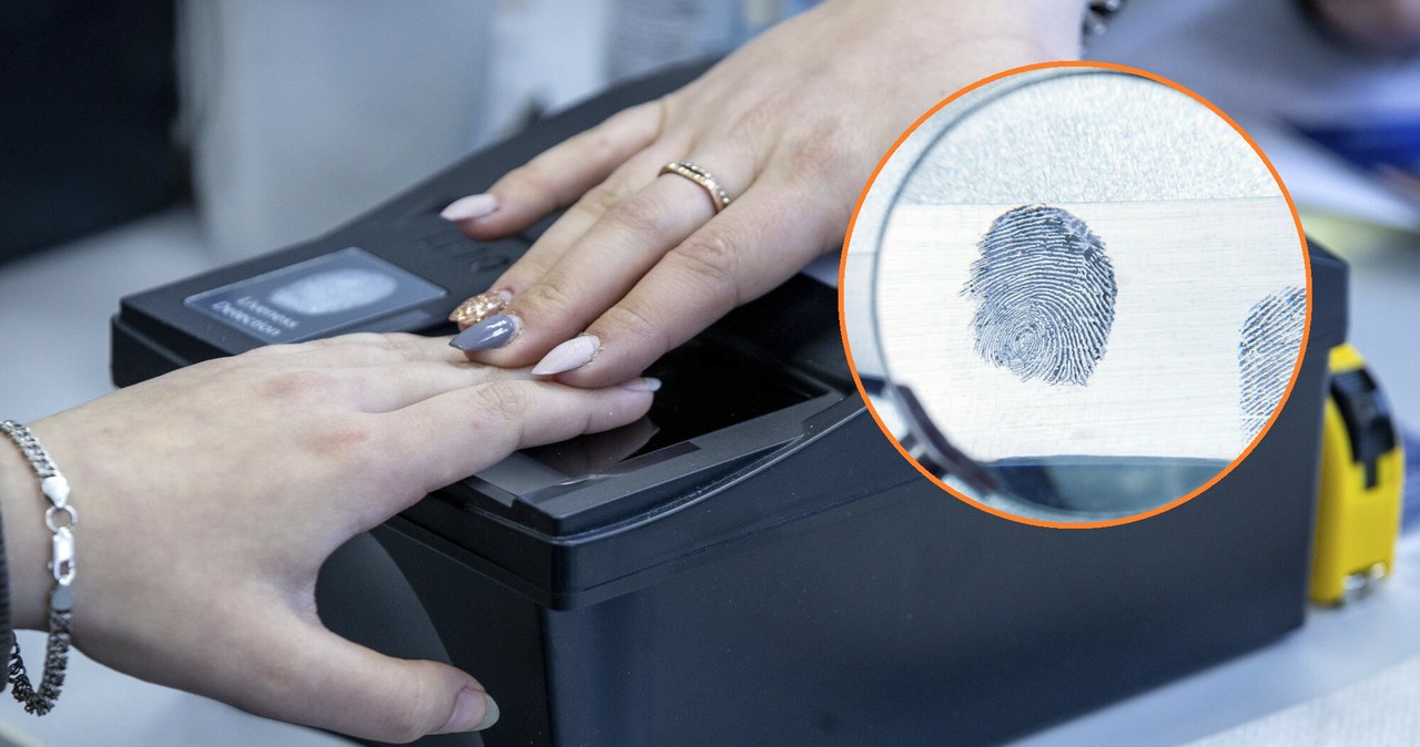 Odciski palców są wyjątkowe i ma je każdy z nas Jak powstają