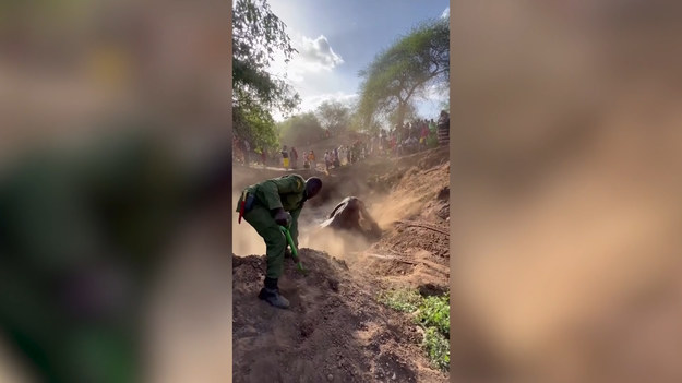 W sieci pojawiło się nagranie z kenijskiego Parku Narodowego Tsavo. Jego bohaterem jest słoń, który osunął się do głębokiej studni i utknął. Na szczęście, z pomocą przyszli mu ludzie. Po długiej i wyczerpującej akcji ogromnego ssaka udało się oswobodzić.