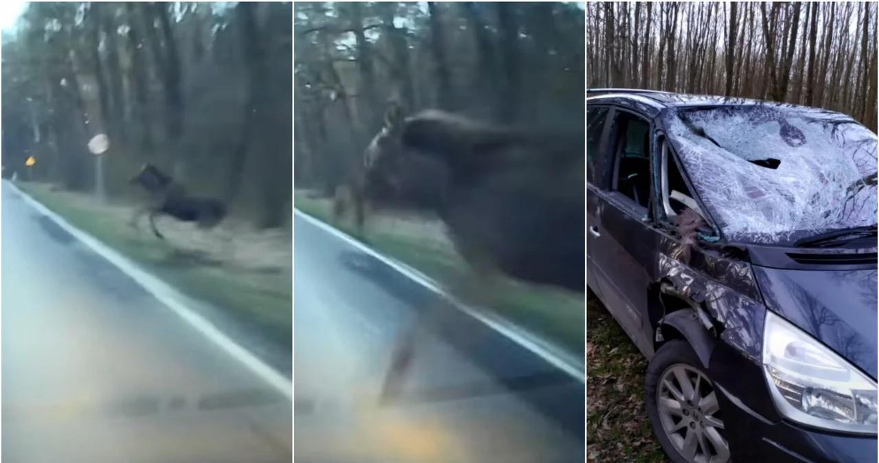 Zderzenie Samochodu Z Osiem Kamera Zarejestrowa A Wtargni Cie