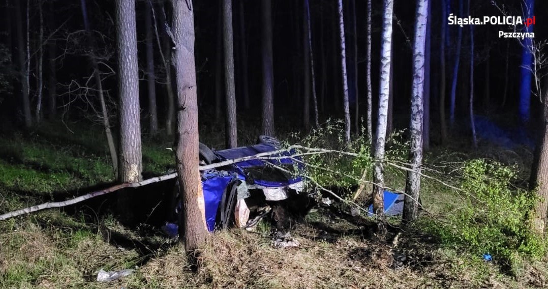 Śląskie Zderzenie toyoty z łosiem Kobieta w ciężkim stanie