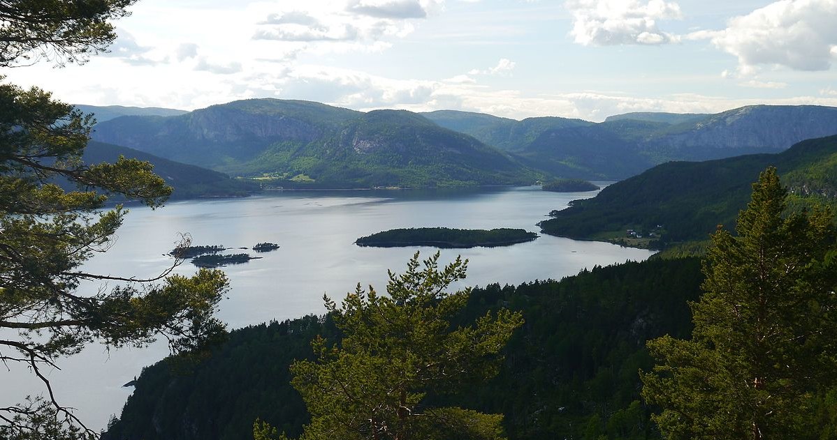 Pierwsza w Norwegii ścieżka w koronach drzew Widok z niej zachwyci