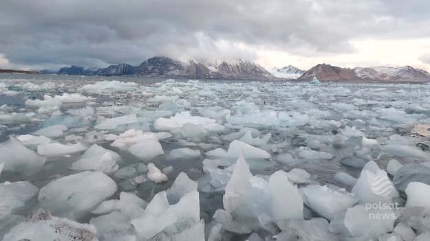 Kolejna niepokojąca zmiana związana z ocieplającym się klimatem. Polscy naukowcy odkryli, że lodowce na Spitsbergenie topiąc się uwalniają do wód metale ciężkie. Rtęć, kadm i ołów mogą być poważnym zagrożenie dla organizmów morskich, a wraz z nimi dla całych łańcuchów pokarmowych na końcu których stoją ludzie. O smutnym odkryciu Marcin Szumowski. 