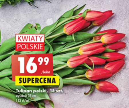 Bukiet tulipanów promocja Biedronka Ding pl