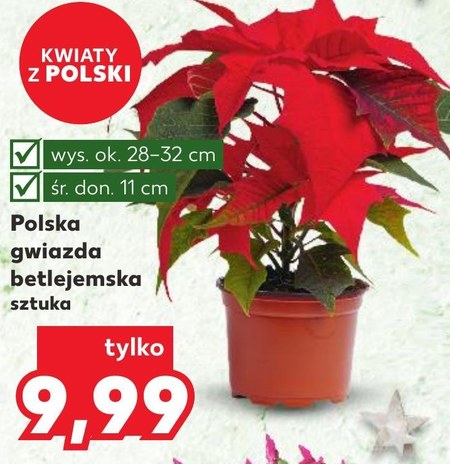 Gwiazda Betlejemska Promocja Kaufland Ding Pl