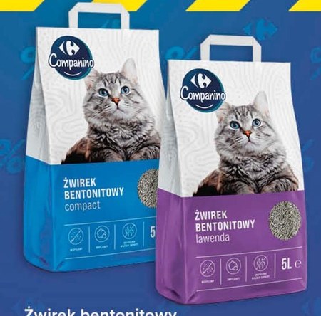 Żwirek bentonitowy Carrefour promocja Carrefour Ding pl