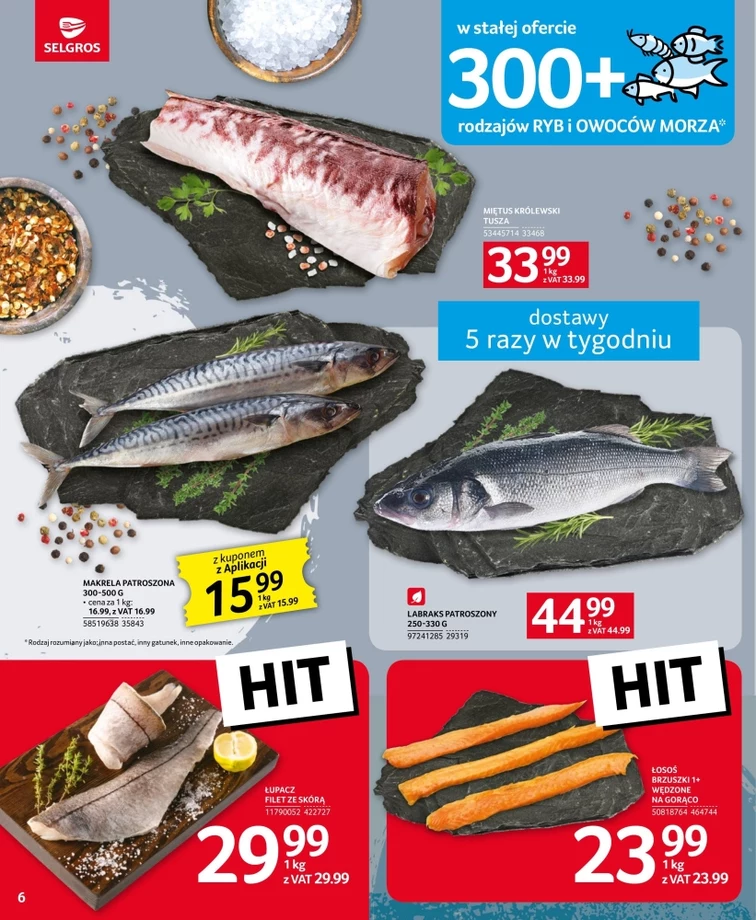 Selgros Cash Carry Gazetka Promocyjna Oferty Rabaty Kupony