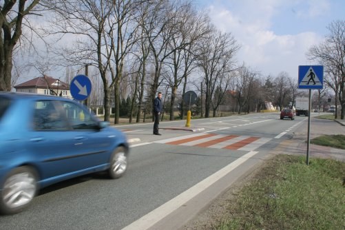 1. Pieszy na zebrze z wysepką /Motor