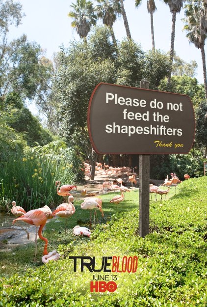 #6 - Please Do Not Feed Shapeshifters