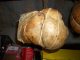 A to napoczety pecherz z ventricina - smalec ubrany do sloikow
