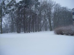 A tutaj ten sam widoczek z mojego biurowego okna , który kiedyś wkleiłam w barwach jesieni.