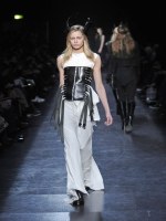 Ann Demeulemesteer