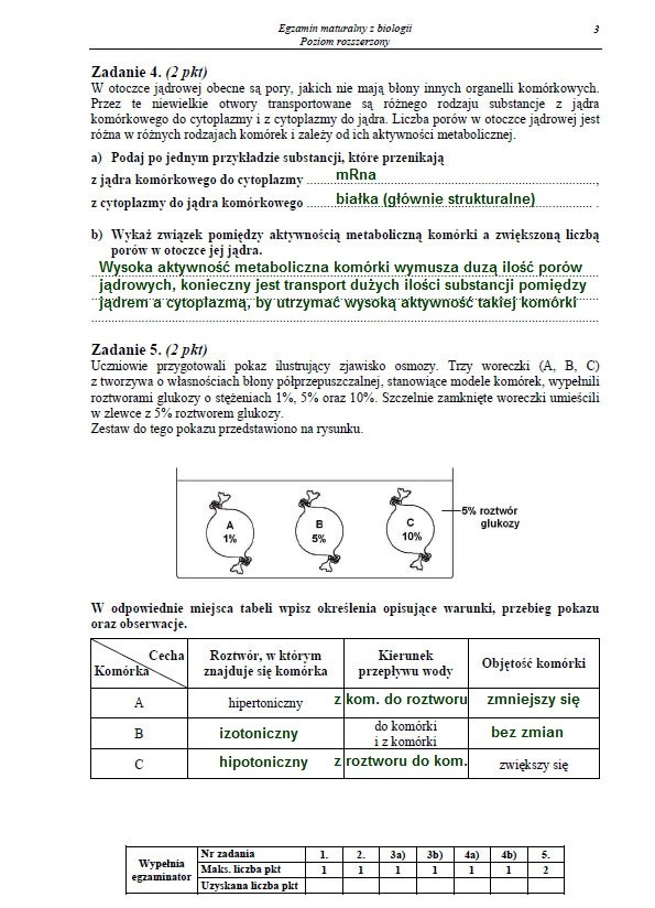 Matura 2013. Biologia - poziom rozszerzony Arkusz /INTERIA.PL