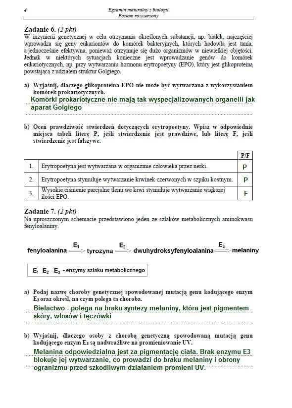 Matura 2013. Biologia - poziom rozszerzony Arkusz /INTERIA.PL