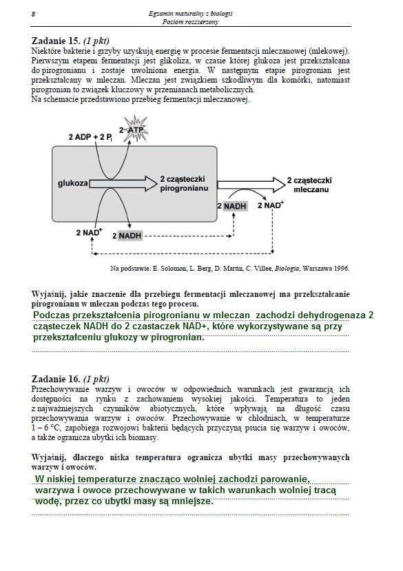 Matura 2013. Biologia - poziom rozszerzony Arkusz /INTERIA.PL