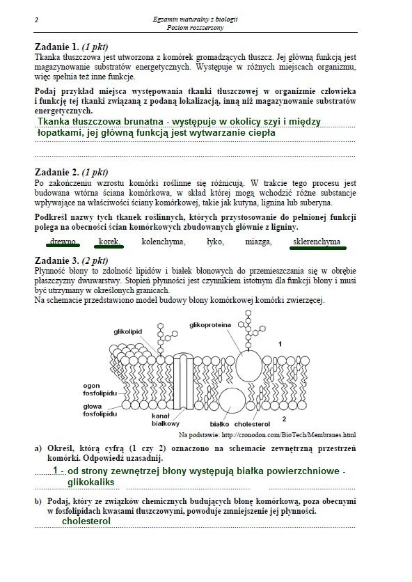 Matura 2013. Biologia - poziom rozszerzony Arkusz /INTERIA.PL
