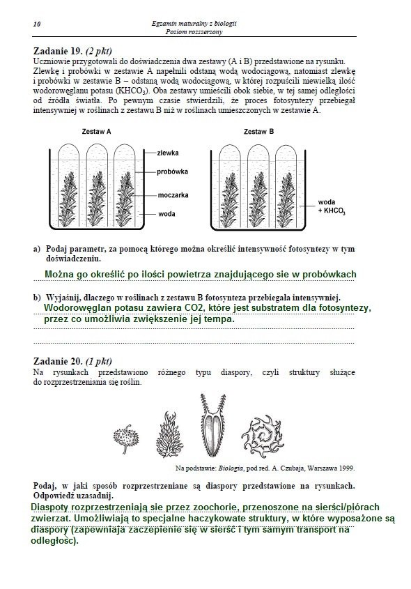 Matura 2013. Biologia - poziom rozszerzony Arkusz /INTERIA.PL