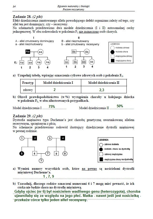 Matura 2013. Biologia - poziom rozszerzony Arkusz /INTERIA.PL
