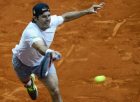 ATP Duesseldorf: Haas się wycofał