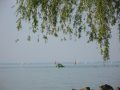 Balaton