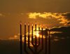 Chanuka, czyli święto tysięcy świateł