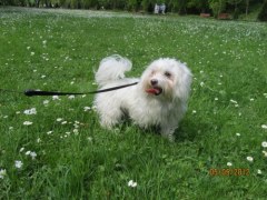 Chica w Kudowie Zdrój :)