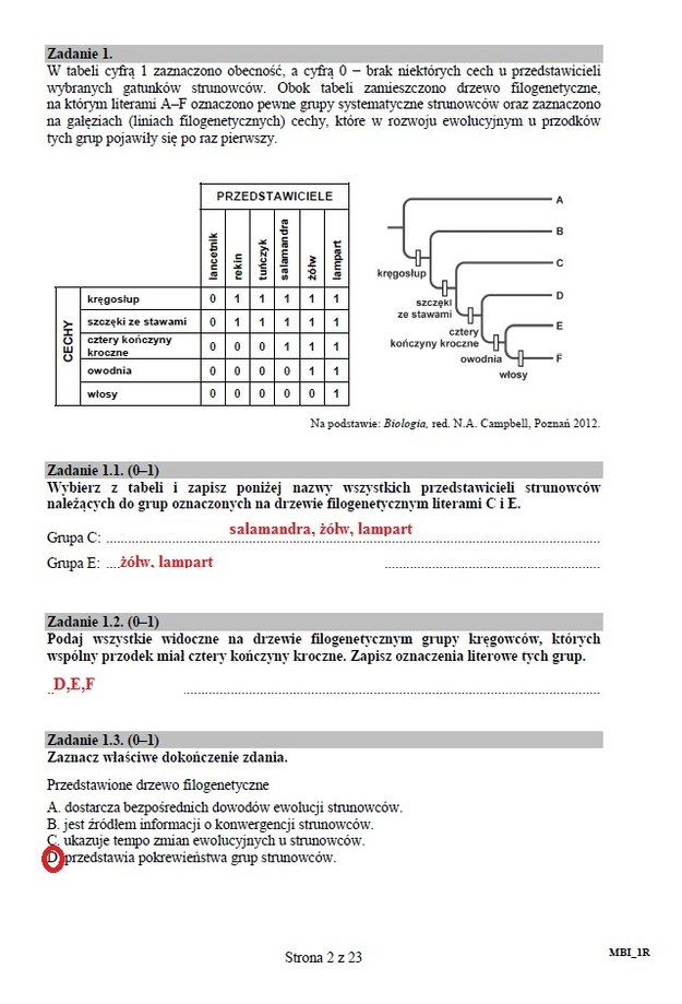 Matura 2015 z biologii: Arkusze i rozwiązania dla liceum CKE /