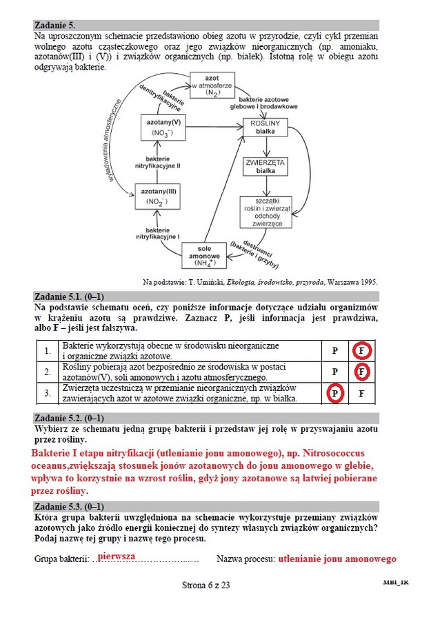 Matura 2015 z biologii: Arkusze i rozwiązania dla liceum CKE /