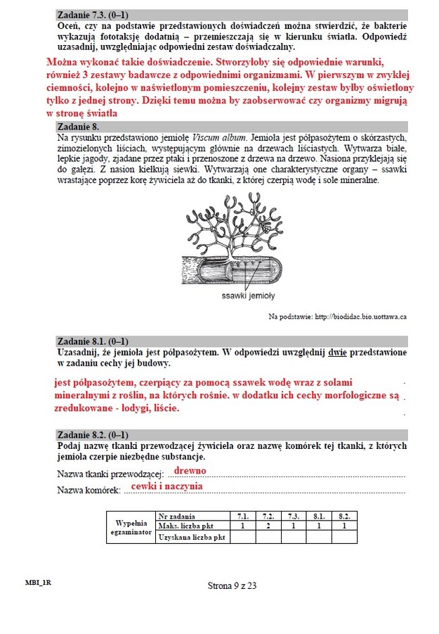 Matura 2015 z biologii: Arkusze i rozwiązania dla liceum CKE /